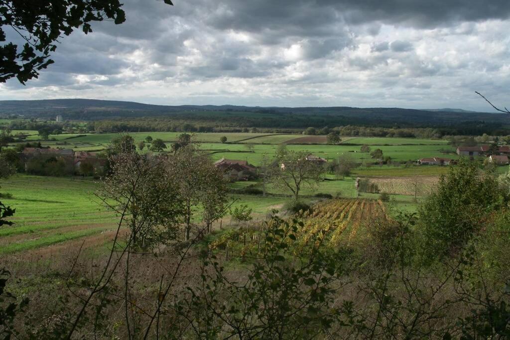 Вілла Le Coeur Du Lys Chissey-les-Macon Екстер'єр фото